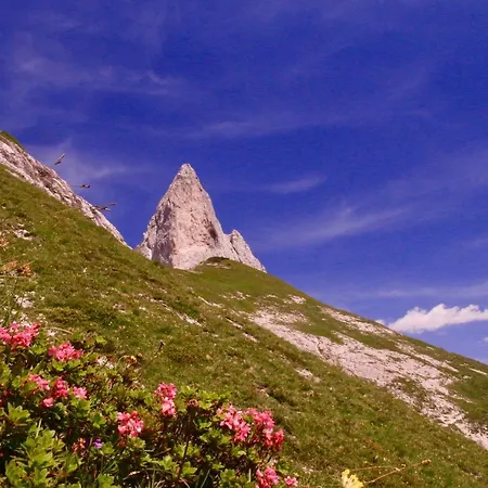 Schermerhuetten Alpehytte *