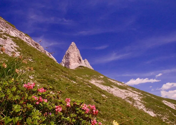 Schermerhuetten Chalet *