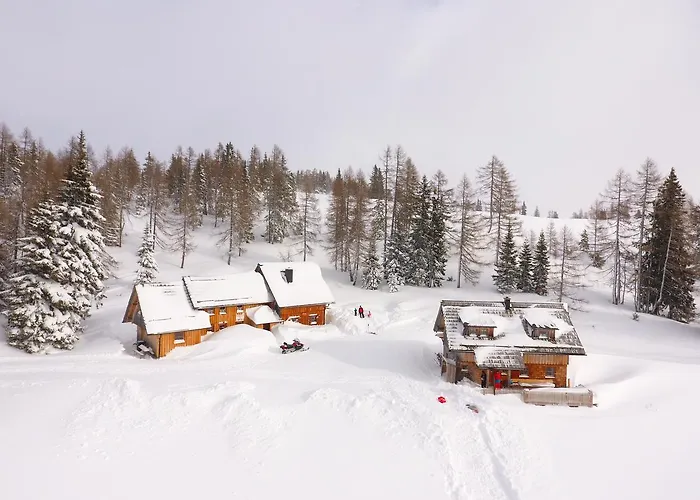 Schermerhuetten Chalet *