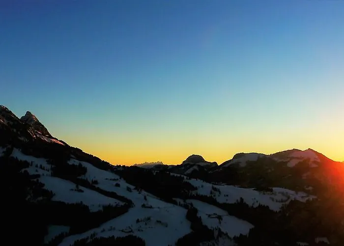 Schermerhuetten Chalet *